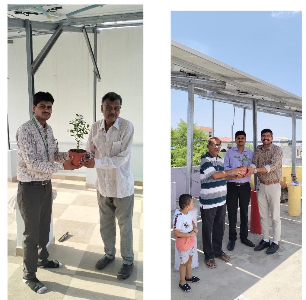 Luxsun customer installation 17